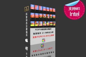 Fcpx抖音竖屏动态分屏插件 21组视频分割可自定义分屏动画效果