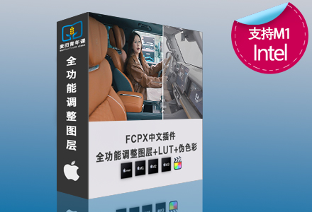 FCPX全功能调整图层2.0版本 伪色彩+视频暗角+调色对比批量调色加载特效lut