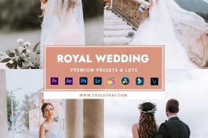 LUTS预设 8组皇家婚礼图片视频MV调色预设 ROYAL WEDDING