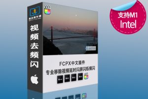 FCPX中文版插件 视频延时闪屏闪烁去频闪Flicker Free 2.1.5 支持M1 M2 M3 M4